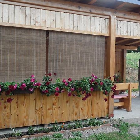 Apartment Rendulic Rakovica Exterior photo